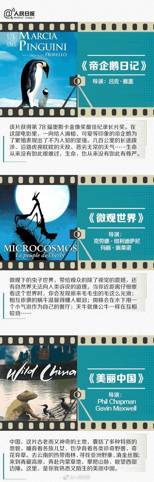 人民日報推薦！小長假陪孩子看這些紀錄片，勝過出門玩五天