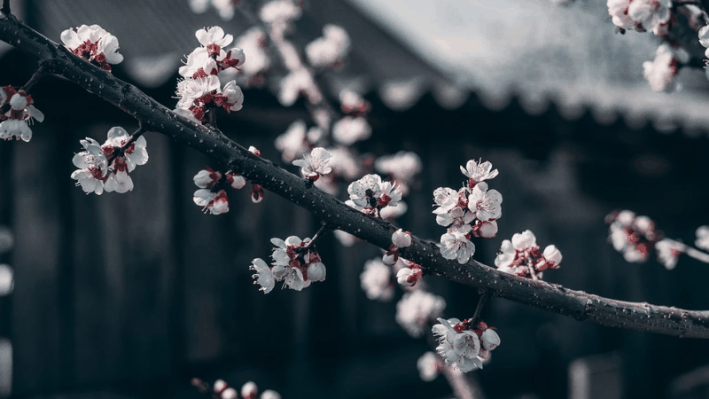 他山之石:讓你受益一生的事