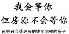 遲遲買不上房，因為軍師太多！5層以下嫌矮，