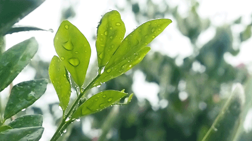 寫給即將中考的你：最后一段，愿你穩(wěn)穩(wěn)地幸福！