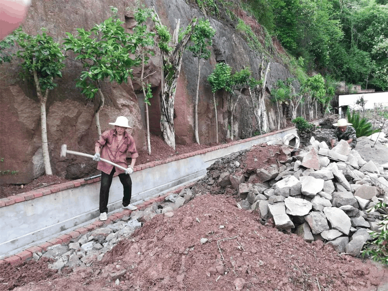 百年書院擴建工程項目建設(shè)正如火如荼推進
