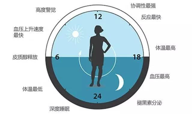請(qǐng)轉(zhuǎn)給晚睡的學(xué)生:熬夜學(xué)習(xí)精神可嘉,但方法不可??!